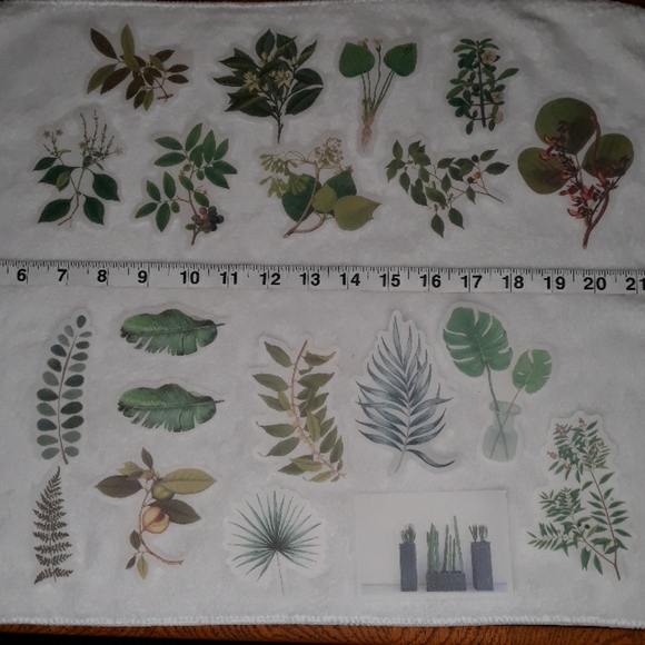 Other - Set of 20 tones of green plants stickers